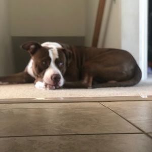 Meet your Posher, Mariah